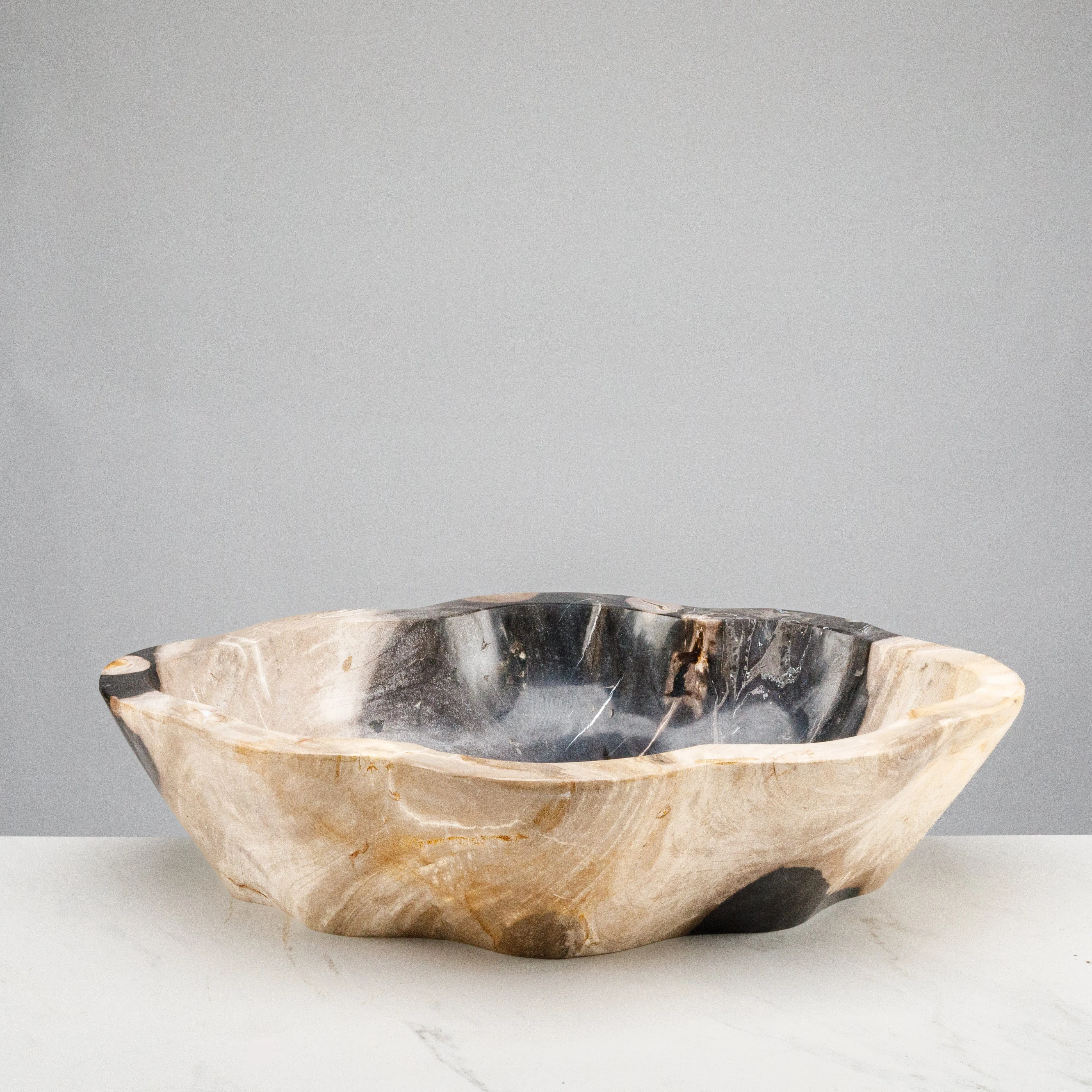 24 Black Petrified Wood Flower Bowl