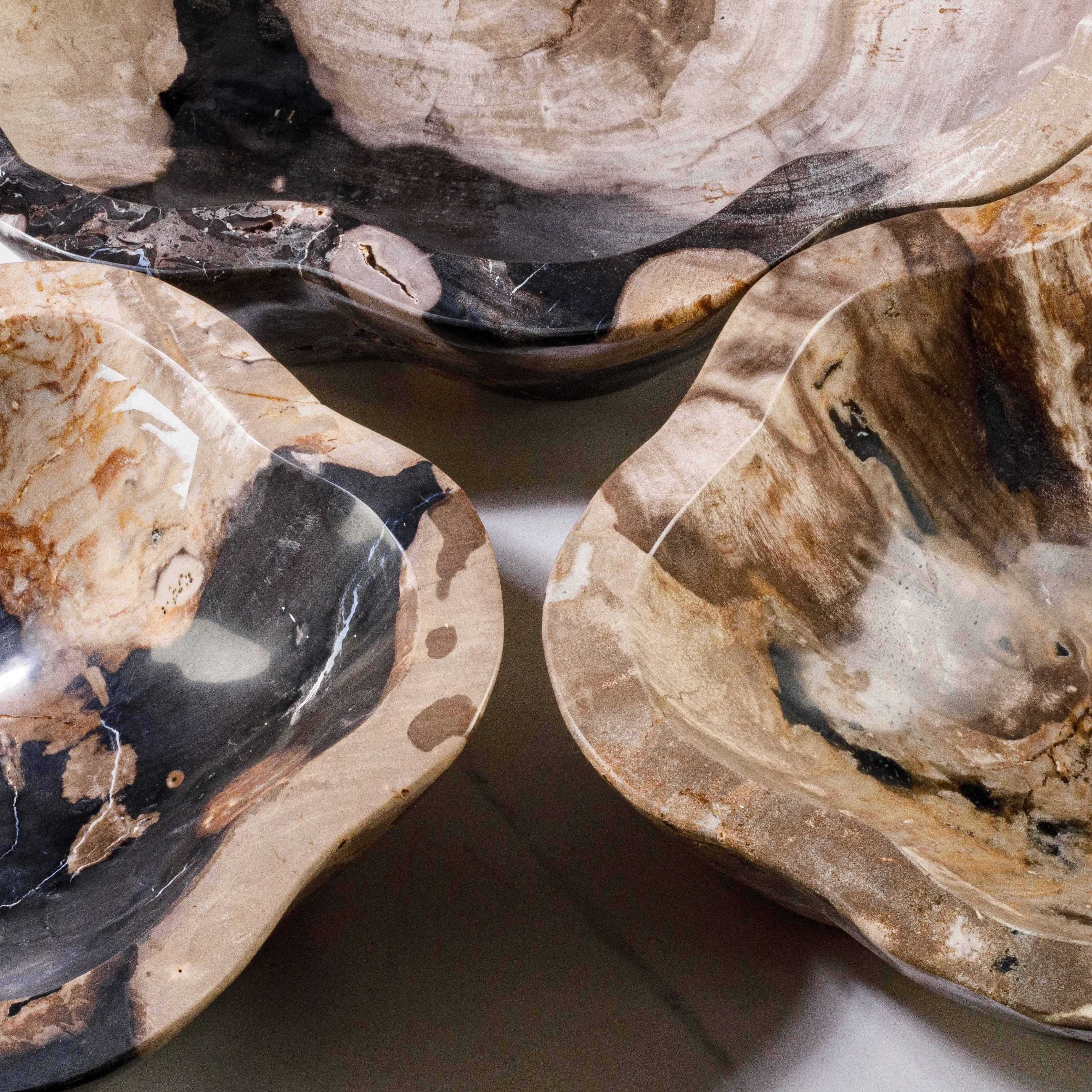 24 Black Petrified Wood Flower Bowl