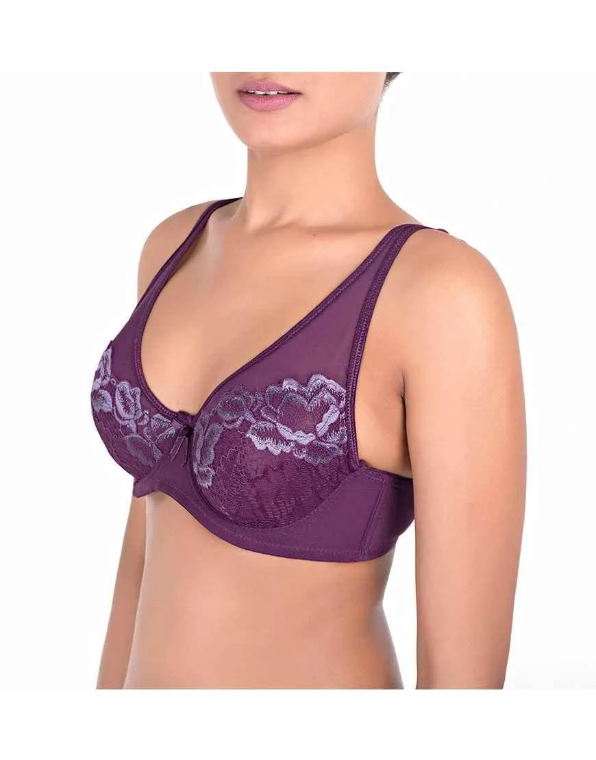 Ladies Doble Layered Bra Sheer Net Mesh Full Coverage Wired Bra