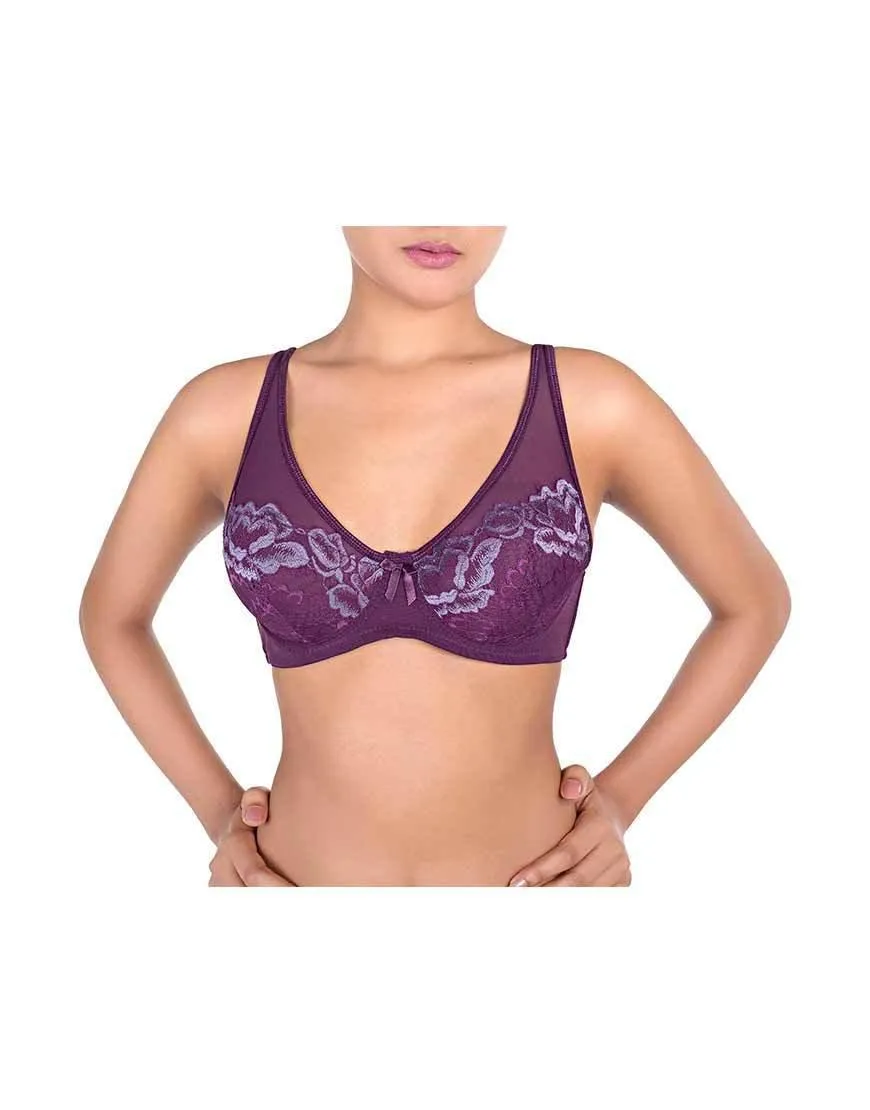 Ladies Doble Layered Bra Sheer Net Mesh Full Coverage Wired Bra