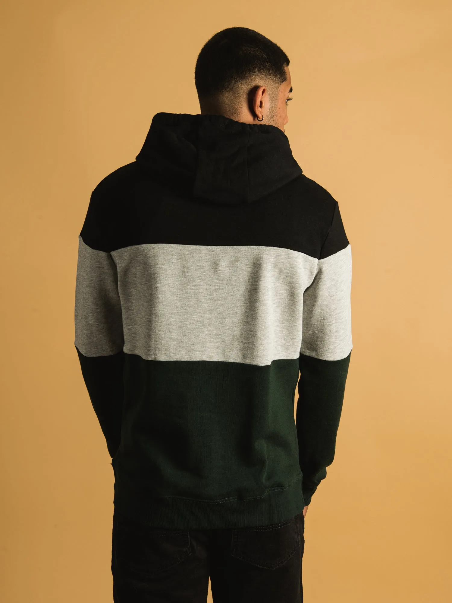 TENTREE BLOCKED EMBROIDERED REYNARD PULLOVER HOODIE