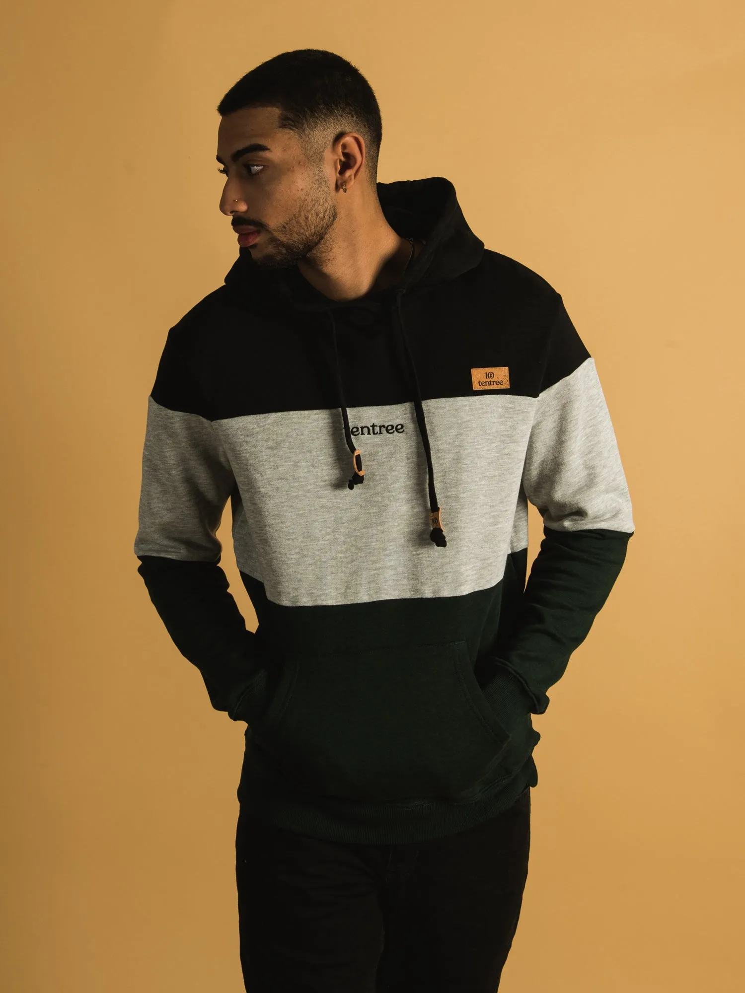 TENTREE BLOCKED EMBROIDERED REYNARD PULLOVER HOODIE