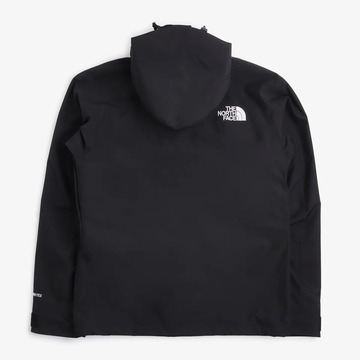 The North Face Gore-Tex Mountain Jacket